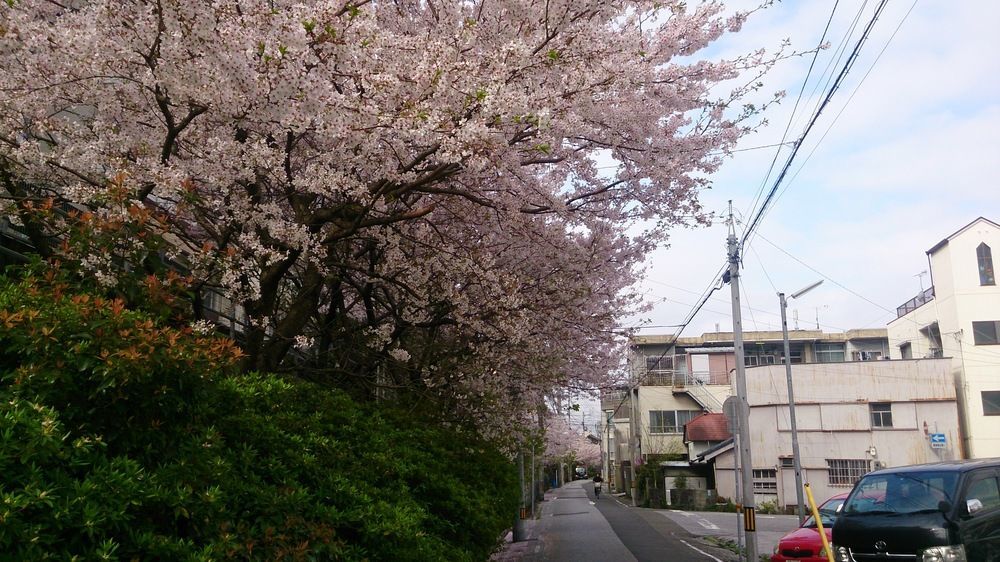 Shoei Daini Bekkan Kochi  Ngoại thất bức ảnh